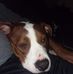 Wes Shelton - Facebook
