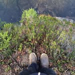 Wesley Shoemaker - @murkyuser - Instagram