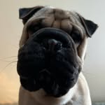 @wesleyslaven - Instagram