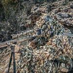 Wesley Snell - @wesley.snell.5437 - Instagram