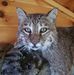 Wes Stahl - Facebook