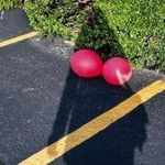 Wesley Stahler - @wesleystahler - Instagram