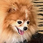 Wes Stiles - @wesleystiles - Instagram