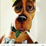 wesley strong - @stronwesley - Instagram