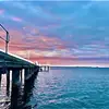 SuttonXWealey.Fishing.Bros - @suttonxwesley.fis - TikTok