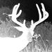 Wesley Thrasher - Facebook