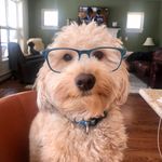 Wesley Walter - @wesleythedoodle - Instagram
