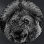 WESLEY_Wanderley - @wesley._wanderley - Instagram