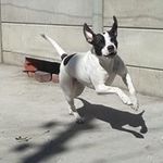 Wesley Weir - @weirwesley5 - Instagram