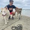 wesley.wilkinson - @wesley.wilkinson6 - TikTok