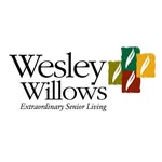 Wesley Willows - @wesleywillows - Instagram