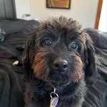 Wesley Wiseman - @tootall_1999 - Instagram
