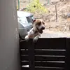 Wesley Wright - @wesley.wright45 - TikTok