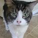 Wesley Wright - Facebook