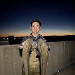 Wesley Yang - @_wesleyyang_ - Instagram