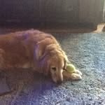 Sally West-Evans - @sallywestevans - Instagram