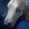Weston Freeman - @weston.freeman8 - TikTok