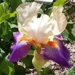 Marilyn West-Fuller - @marilynwestfuller - Instagram