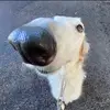 Weston Fuller - @weston_fuller - TikTok