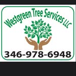 Angel Martinez - @westgreen.tree.service.llc - Instagram