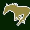 WEST JONES 🔛🔝!💚💛 - @westjones_1 - TikTok