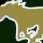 West.jones.fights - @west.jones.fights - Instagram
