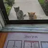 Teresa West-Malone - @teresa.westmalone - TikTok
