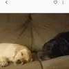 lesliewestmiller - @lesliewestmiller - TikTok