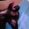 west_miller3232 - @west_miller2284 - TikTok