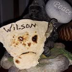 West Miller - @westmiller68 - Instagram