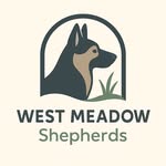 Christina McGowan - @westmeadowshepherds - Instagram