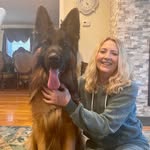 DUKE West German Shepherd - @duke_west_german_shepherd - Instagram