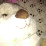 Westin Mitchell - @westin.mitchell.5 - Instagram