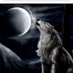 Westin Smith - @darkness_wolf431 - Instagram