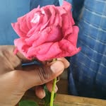 Westley murphy - @channappamagadumm - Instagram
