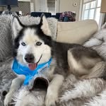 Westley Smith - @westleysmith - Instagram