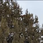westonbates - @westonbates2 - Instagram