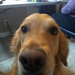 Westonbecker - @wgbecker04 - Instagram