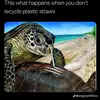 Weston Bennett - @weston.bennett8 - TikTok