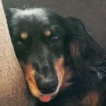 weston - @weston.b.boyd - Instagram