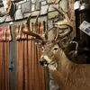 Buck boy - @westonbuckboy - TikTok