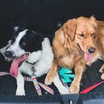 Weston & Ellie Buck - @westonandellie - Instagram
