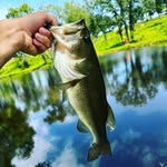 Weston_2 - @weston_2_chambers - Instagram