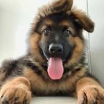 Weston Cox - @weston.cox.9404 - Instagram
