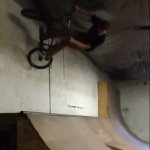 Weston Cox - @westoncox984 - Instagram