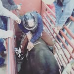 Weston ellis - @westonellis8 - Instagram