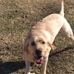 Weston Ellis - @westonbe16 - Instagram