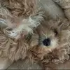 Weston Ford - @weston.ford1 - TikTok