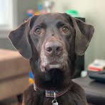 Harrell Weston - Facebook