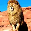 mozellweston_hessel1 - @mozellweston_hess - TikTok